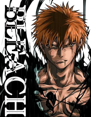 Anime_VERSION_6_DESIGN12.png
